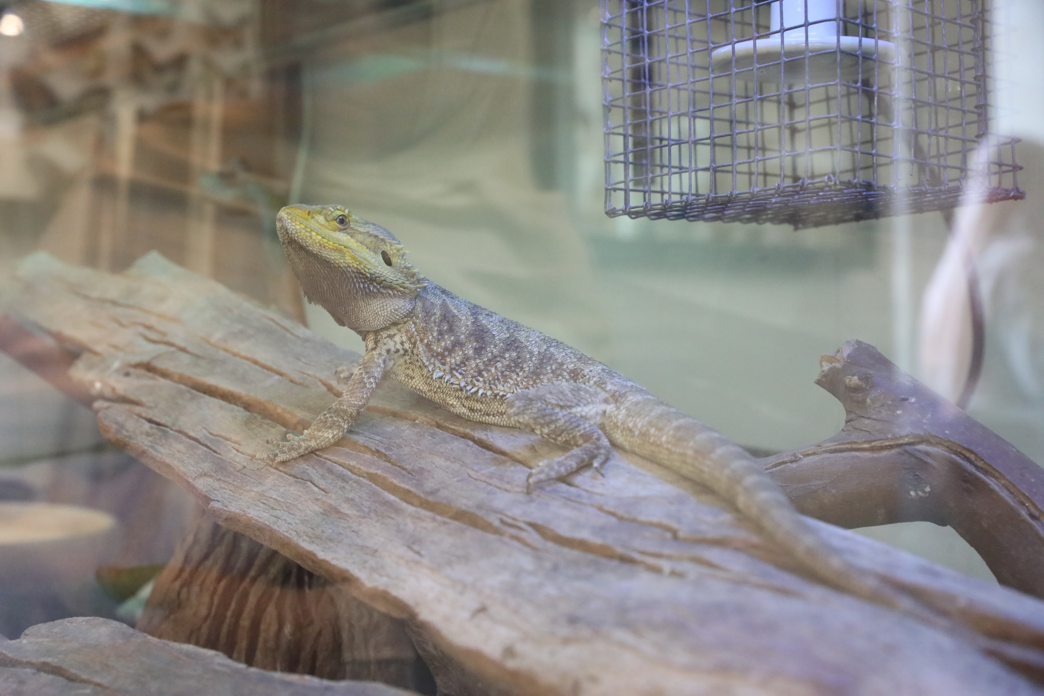 2019 09 22 13 42 48 Canon EOS 5D Mark IV 0004